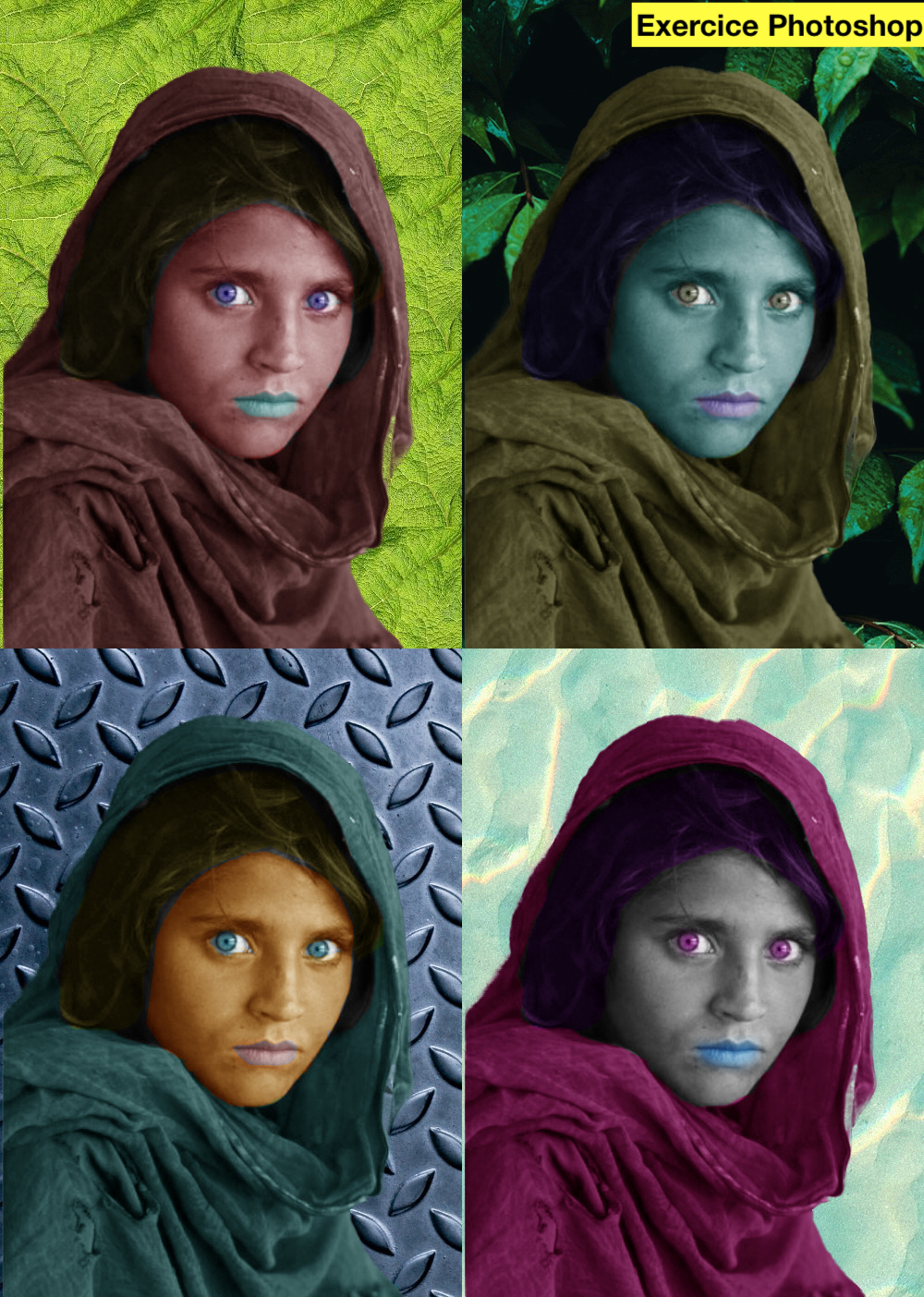 Photo de couleur et arrière plan