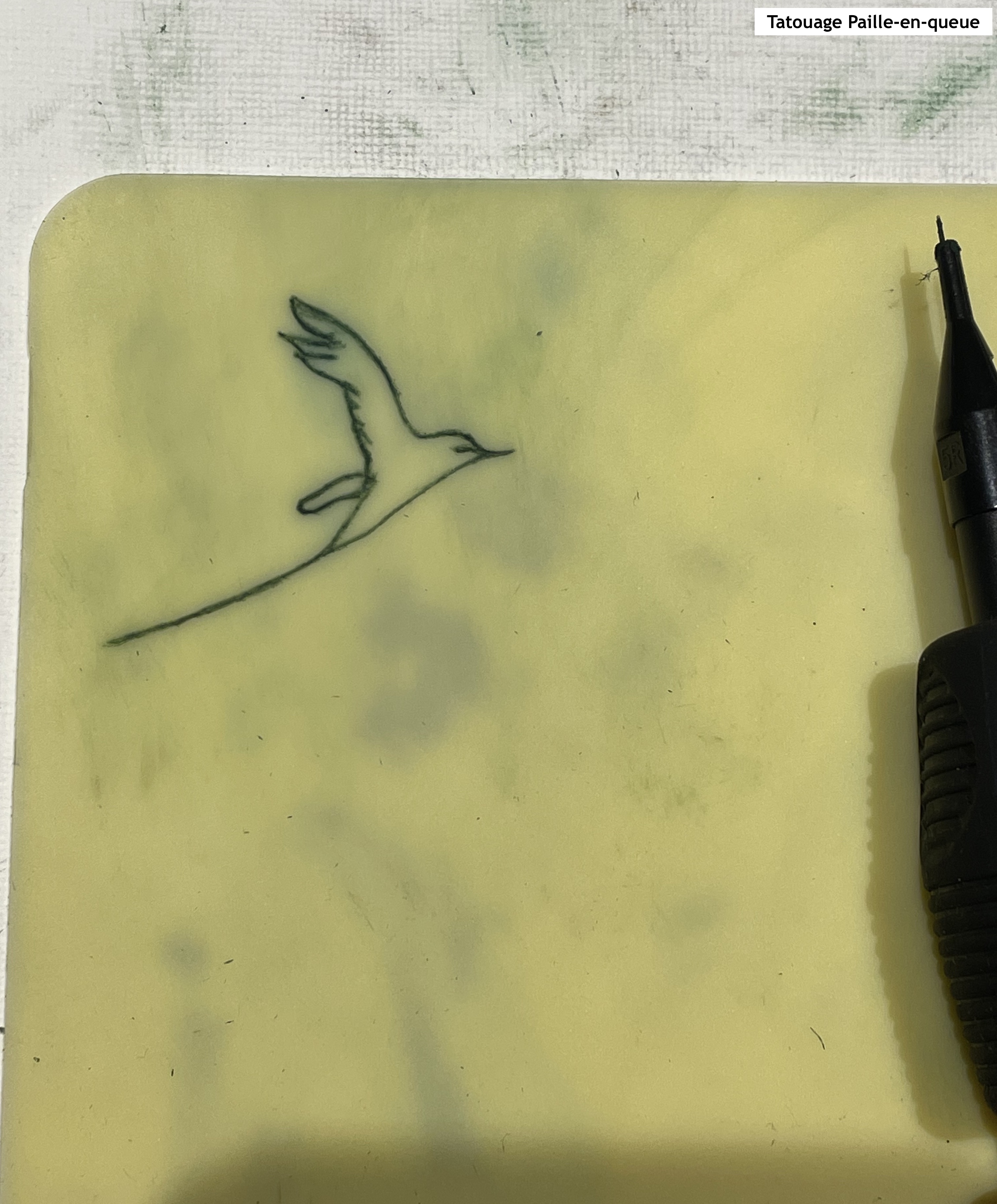 Tatouage Paille-en-queue
